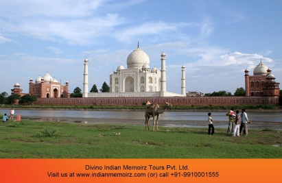 Divino_Taj Mahal